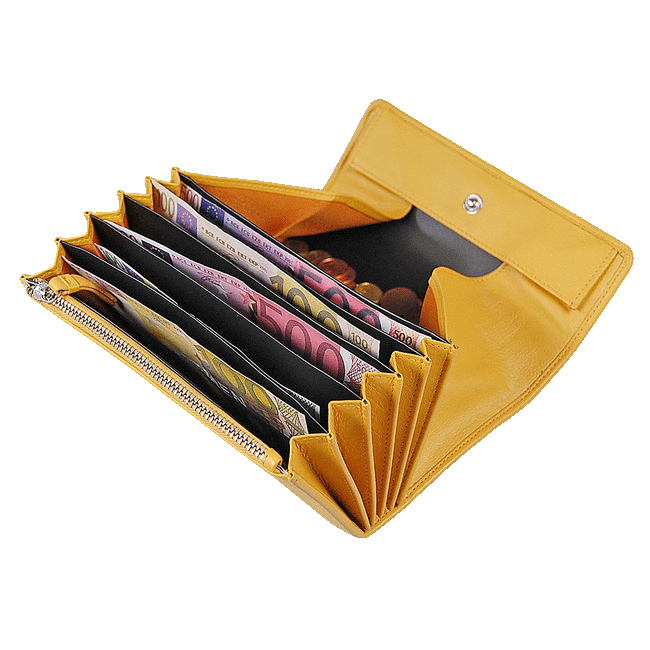 Portfel Kelnerski z kaburą  BRANCO 92430-92437